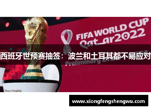 西班牙世预赛抽签：波兰和土耳其都不易应对